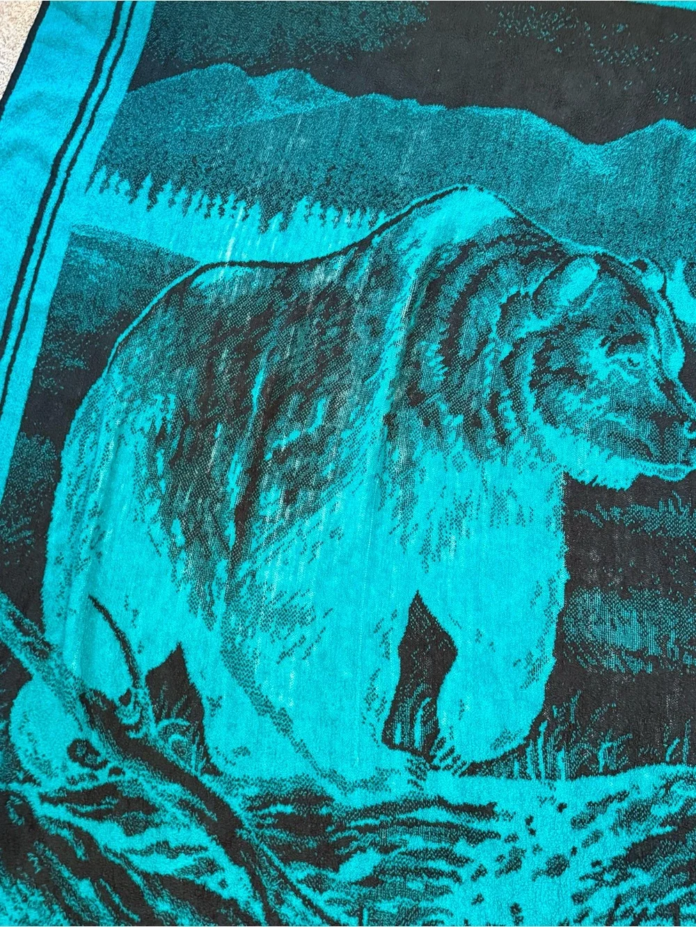 San Marcos vintage grizzly bear teal green blanket reversible 90s